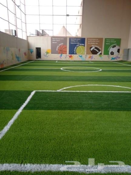Installation and Layout of Sports Fields and Landscape Design63616239780482111