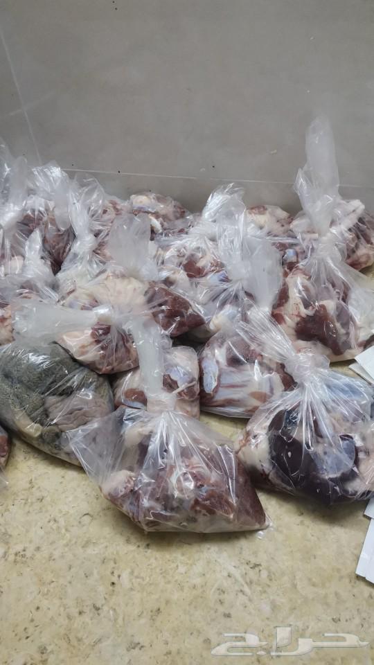 تيوس بلدي شرط ونظييفه وفل شححم64218790425730113