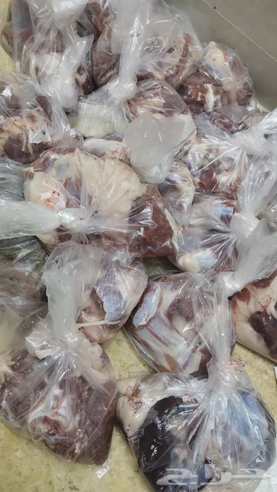 تيوس بلدي شرط ونظييفه وفل شححم64218790425730112