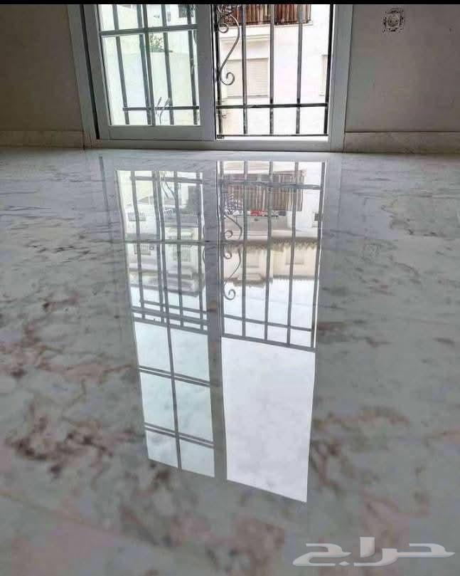 Tile Gel63616239917185113