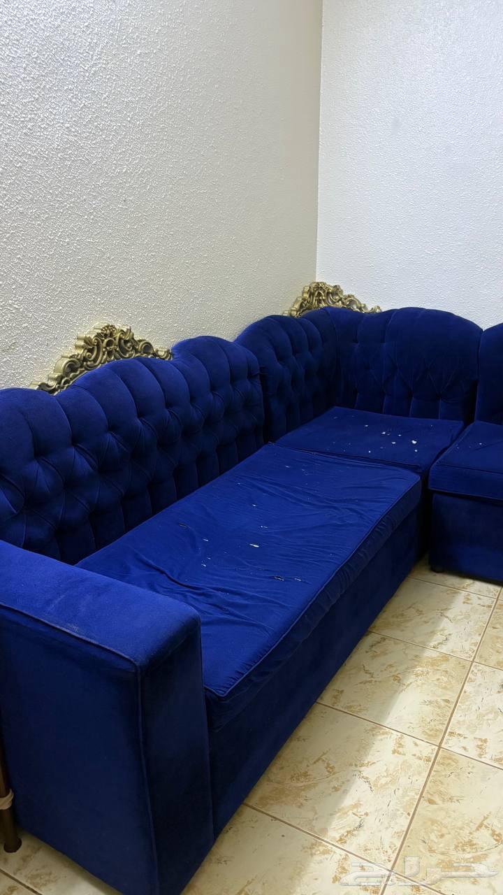 مكة زاهر كنب نظيف العيب بس يحتاج القاعدة تغير ويرجع جديدة64226990824707110