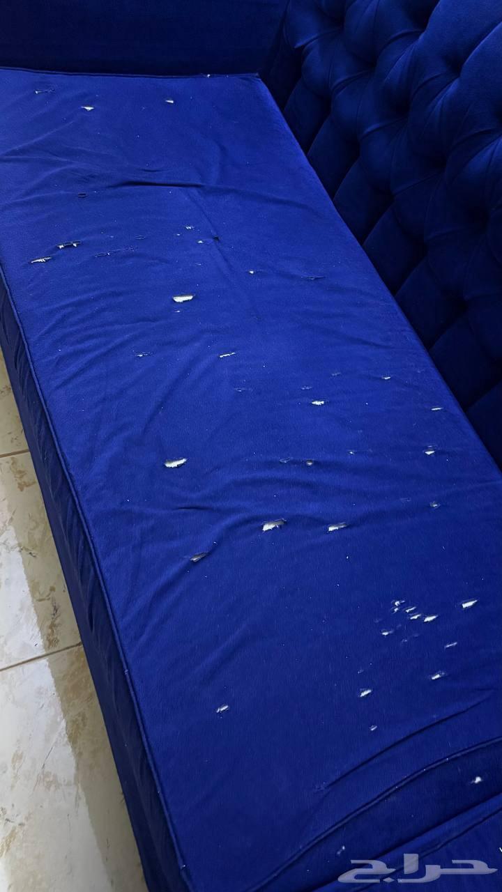 مكة زاهر كنب نظيف العيب بس يحتاج القاعدة تغير ويرجع جديدة64226990824707114