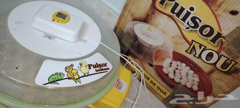 فقاسة اوروبية 51 بيضة64211071579265114