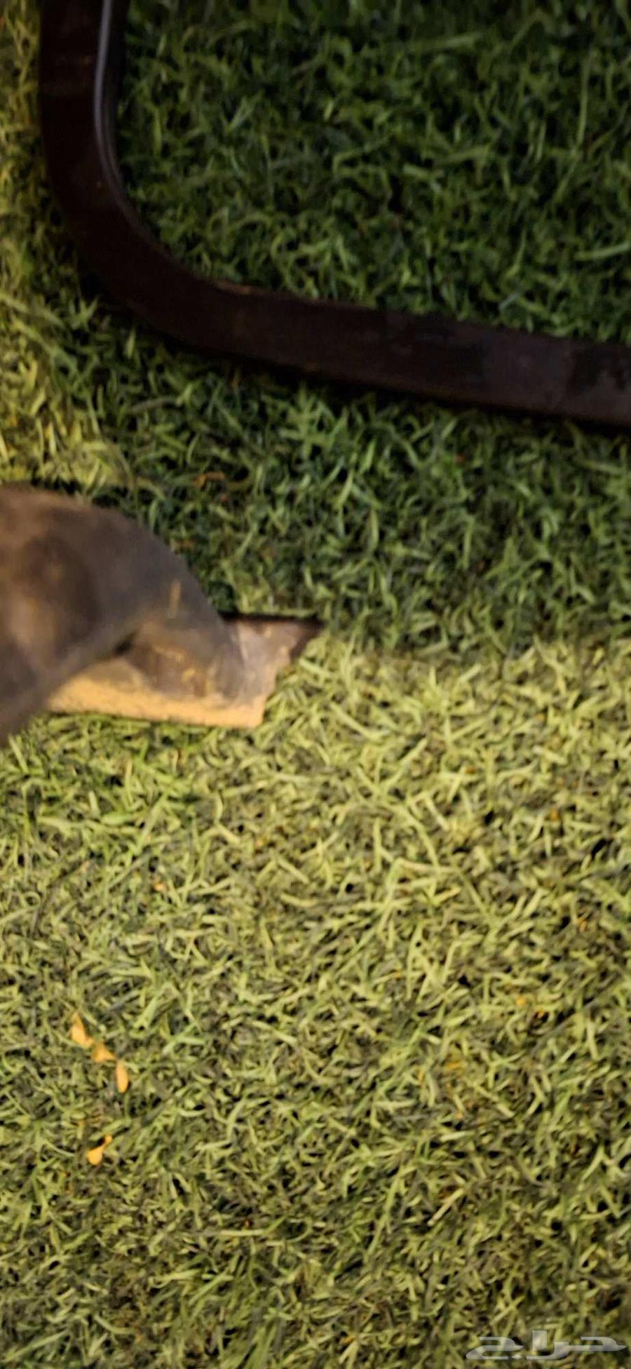 X-brace support for 2022 launch64226394877826112