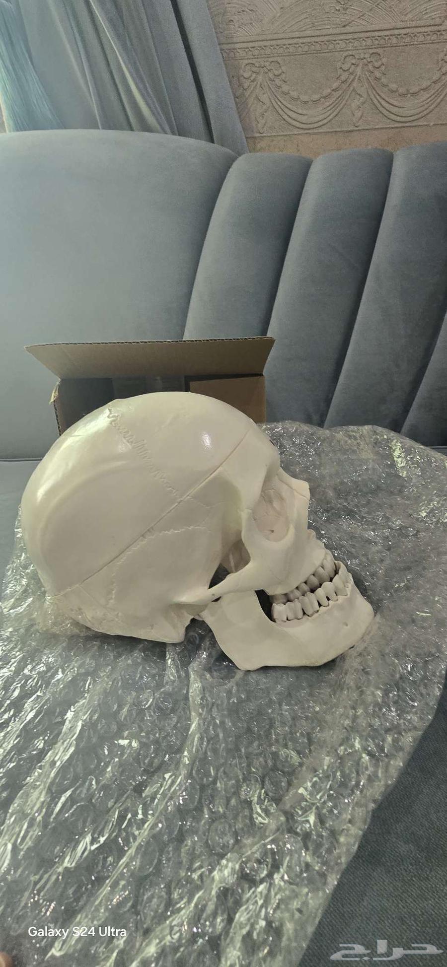 أدوات دراسية لطب الأسنان64222773934977112