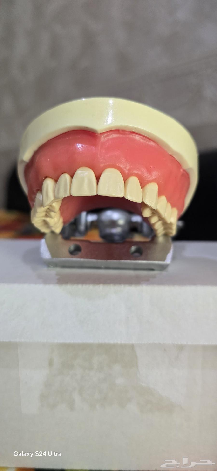 أدوات دراسية لطب الأسنان64222773934977110