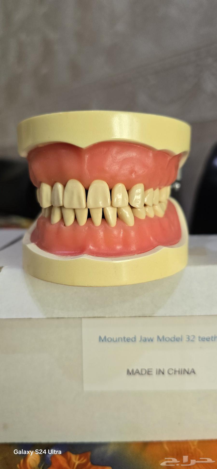 أدوات دراسية لطب الأسنان64222773934977111