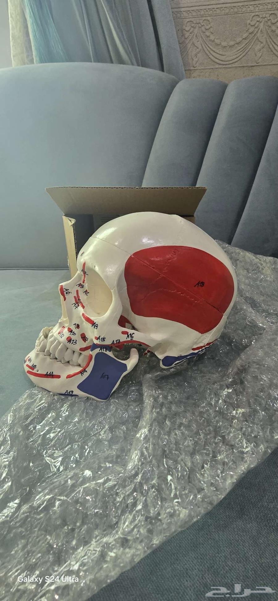 أدوات دراسية لطب الأسنان64222773934977113