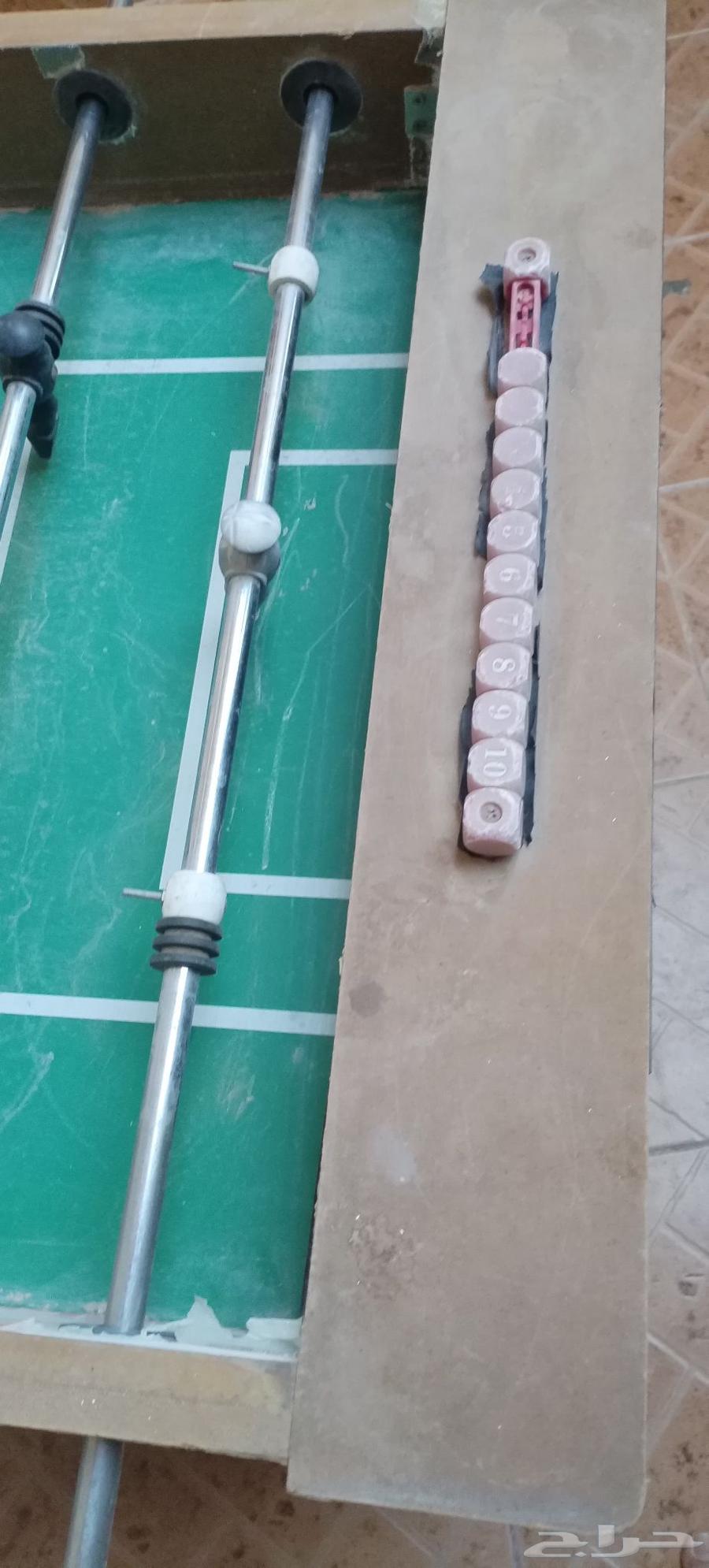 فرفيرة للبيع64228013863811114