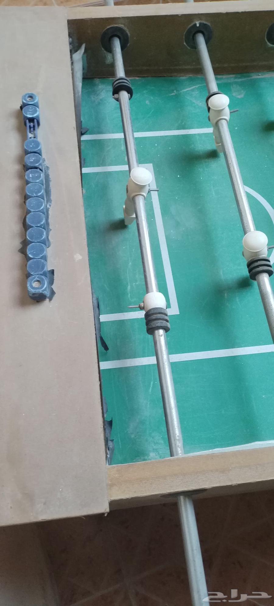 فرفيرة للبيع64228013863811112