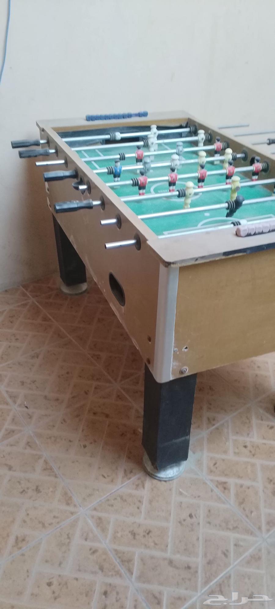 فرفيرة للبيع64228013863811113