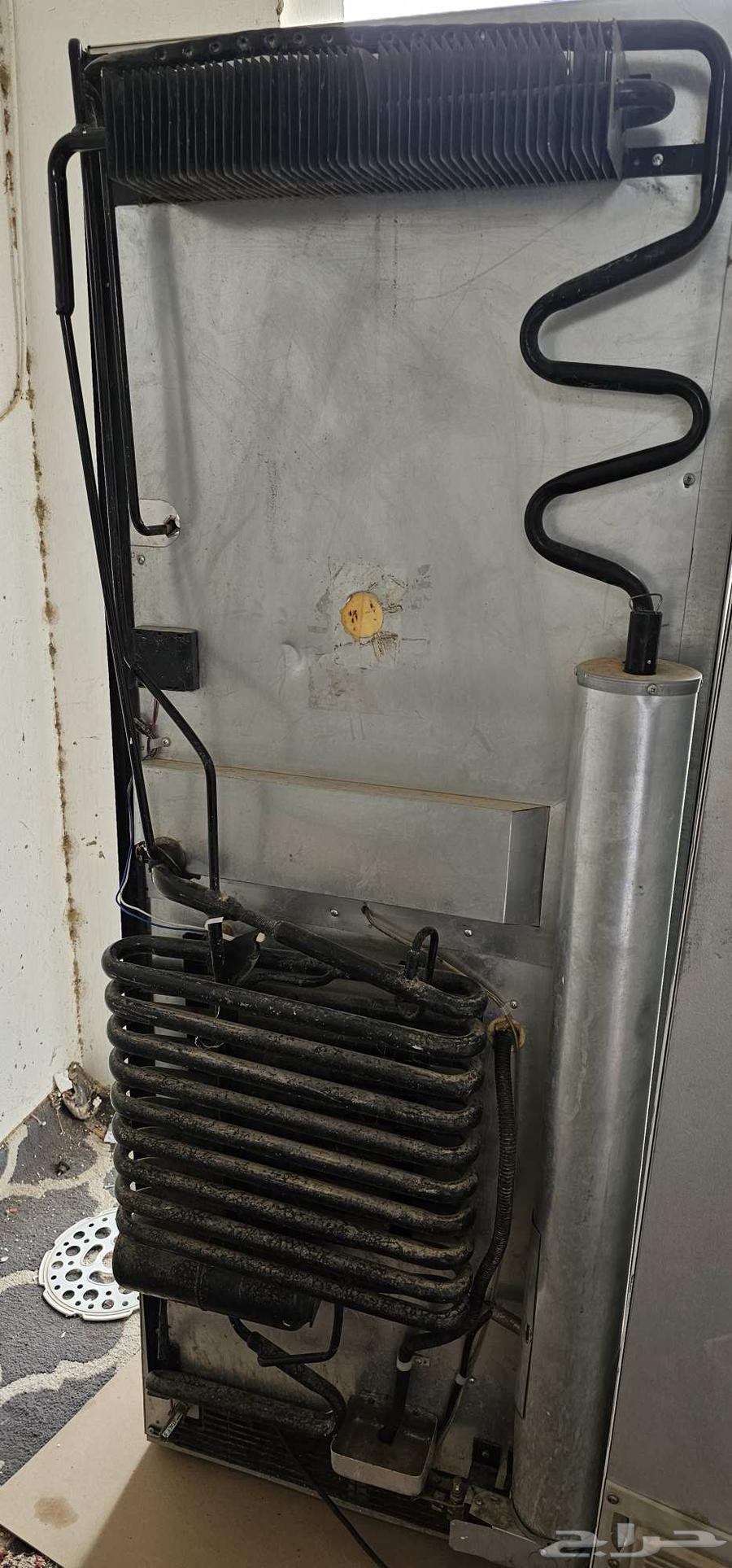 بيشه64212345959938112