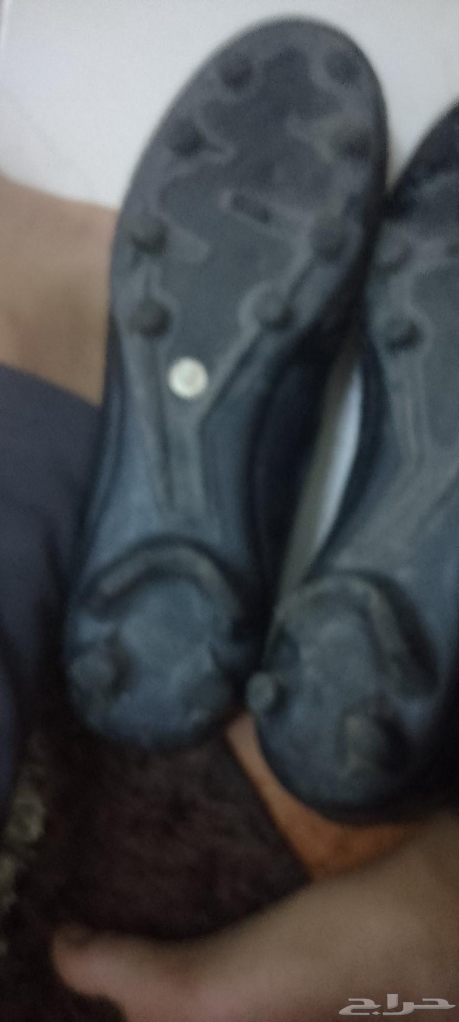 حذاء رياضي مقاس 4164219449829507111