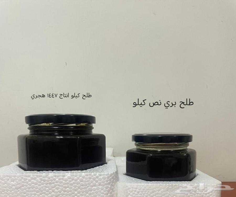عسل طلح بري من جنوب تبوك الكيلو 300 ريال و النص 15064224108262915111