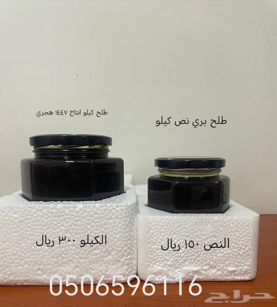 عسل طلح بري من جنوب تبوك الكيلو 300 ريال و النص 15064224108262915110