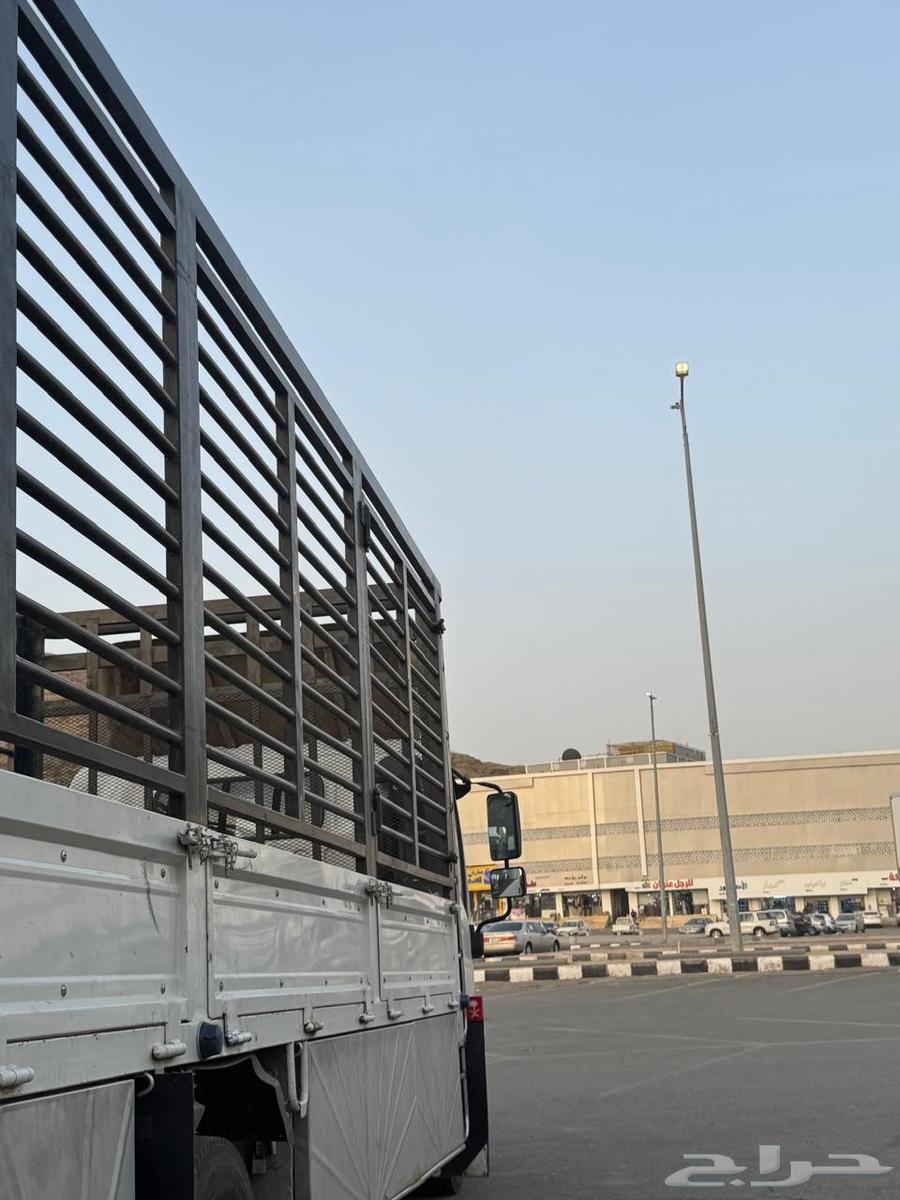 Dina Mahayel Aseer 6.5 meters open side64398214842627111