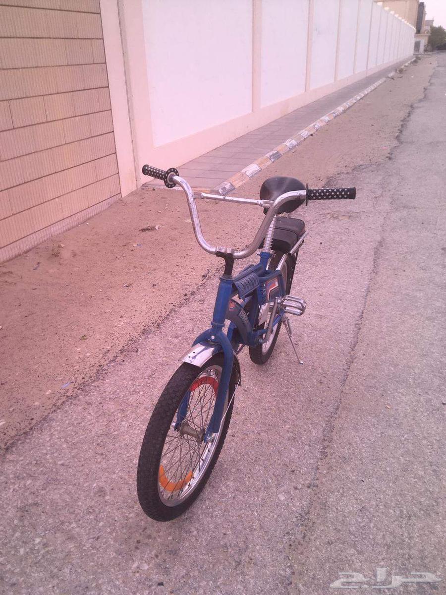 سيكل رامبو اصلي اندنوسي للبيع64213611461890111