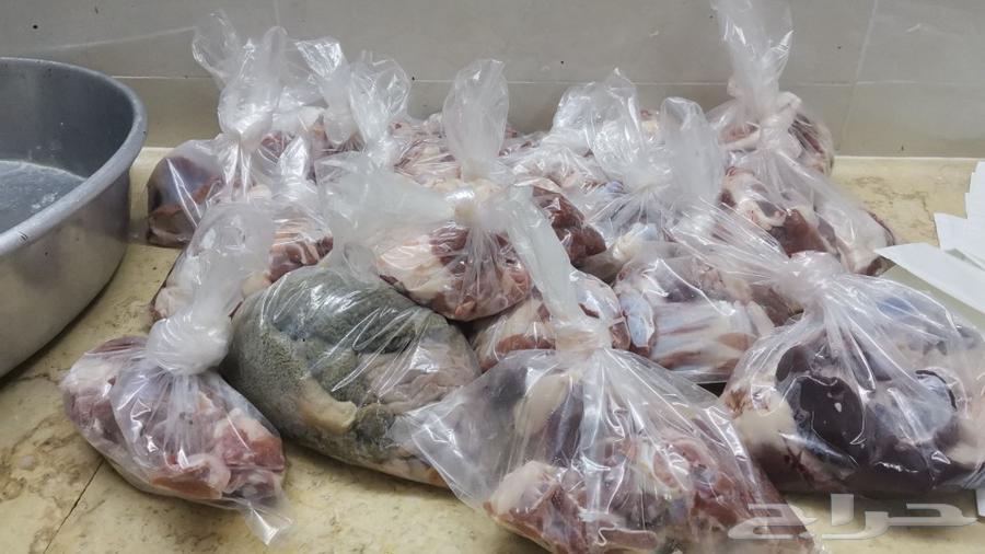 تيوس بلدي شرط ونظييفه وفل شححم64218790425730114