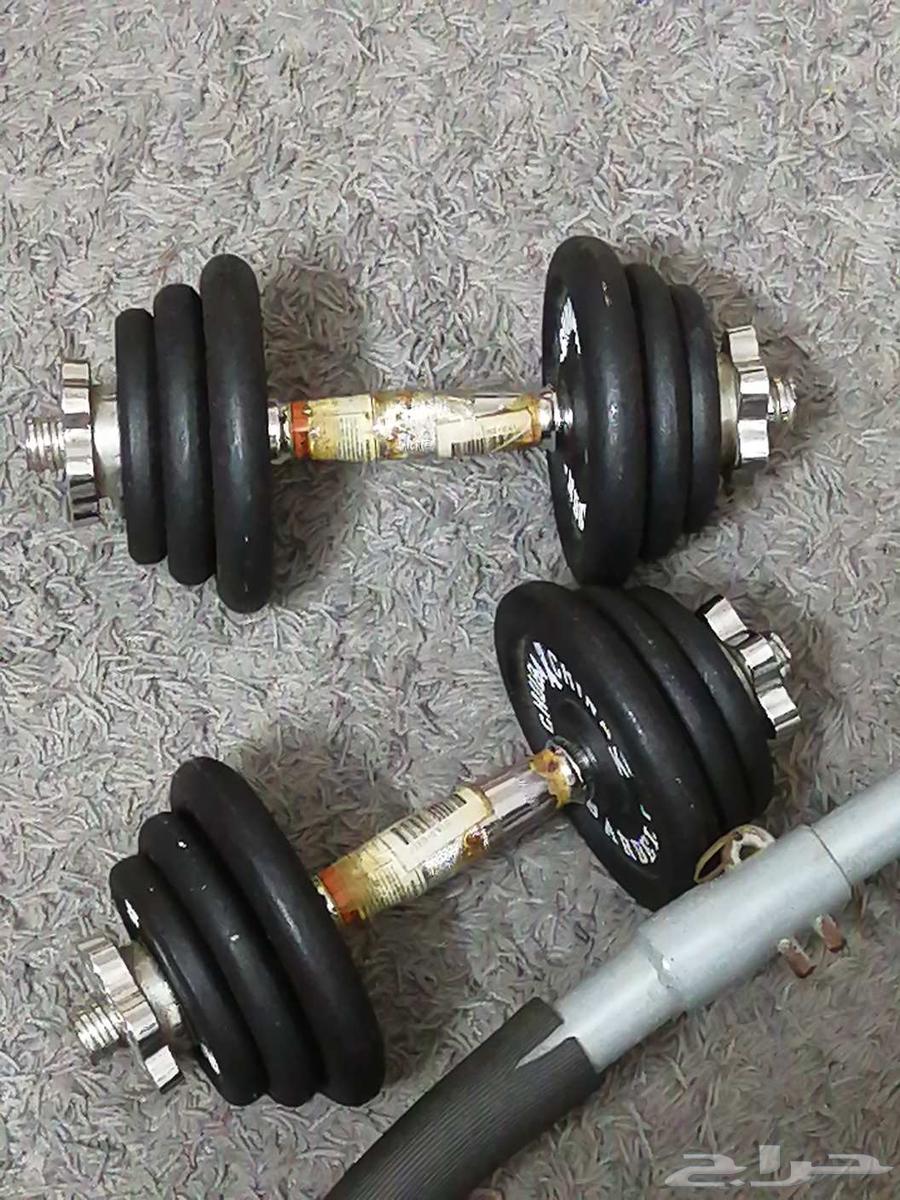 دانبلين 20 كيلو مع كرسي64256112676354110