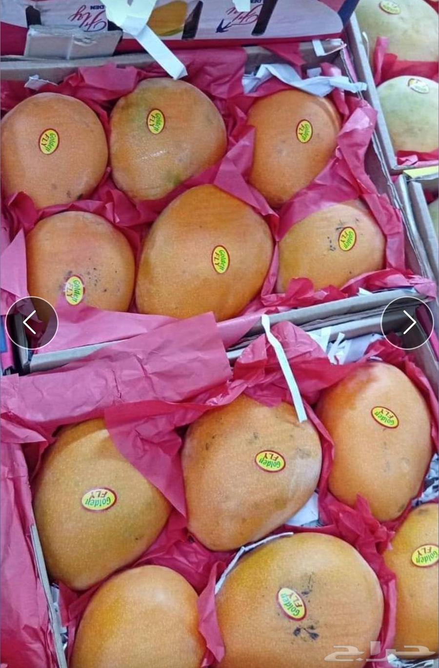 Available Egyptian apples, excellent quality, and mangoes named Ismaili Awais, excellent64234620302209112