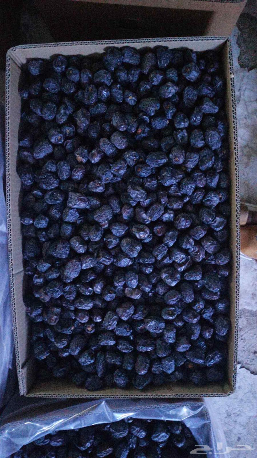 عجوة صفاوي روثانة64255241046017113