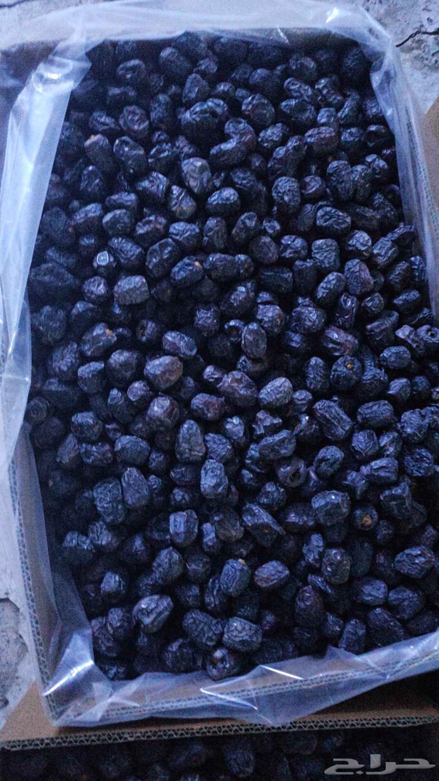 عجوة صفاوي روثانة64255241046017112