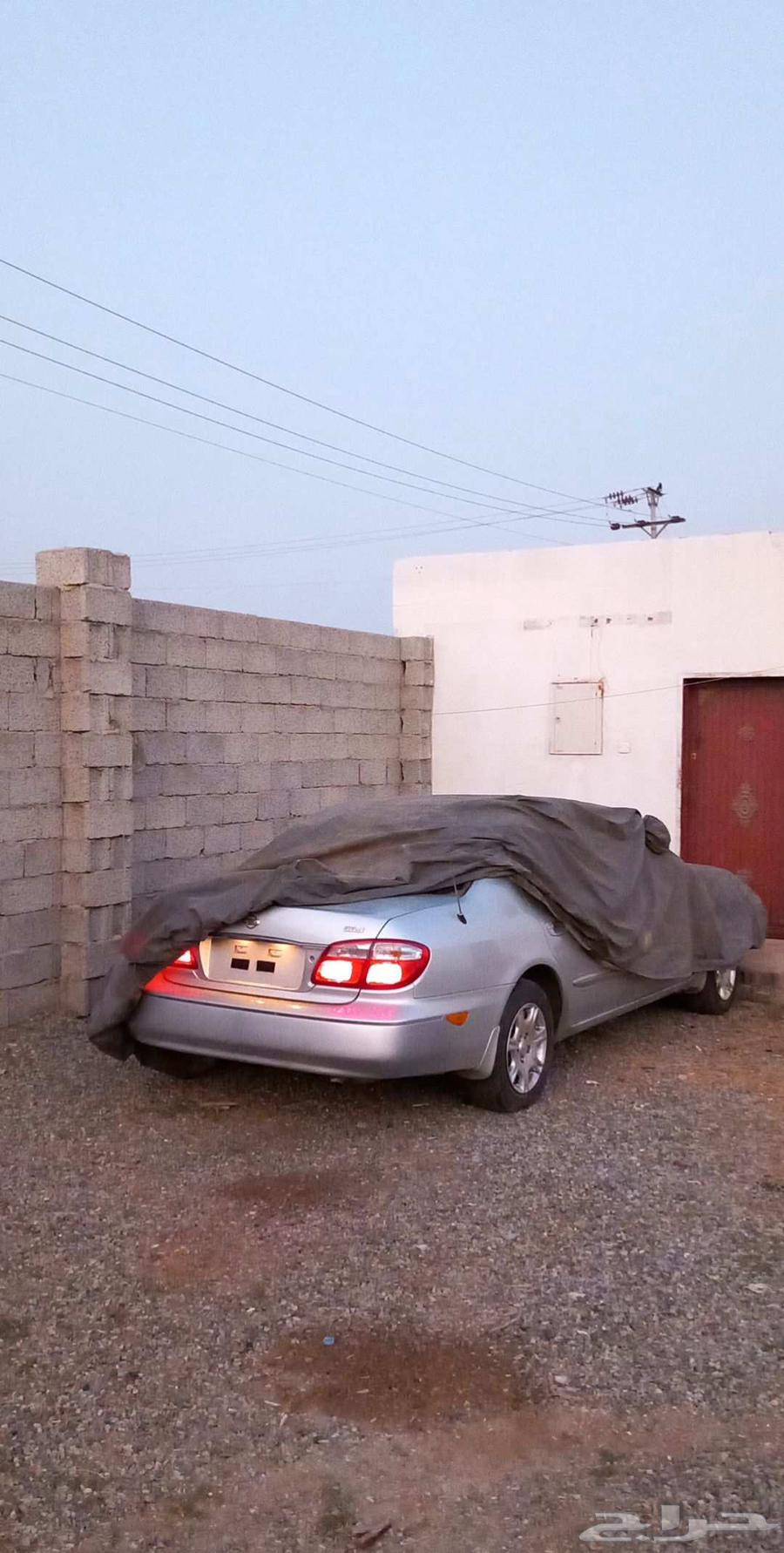 مكسيما 2000 للبيع64413453135363112