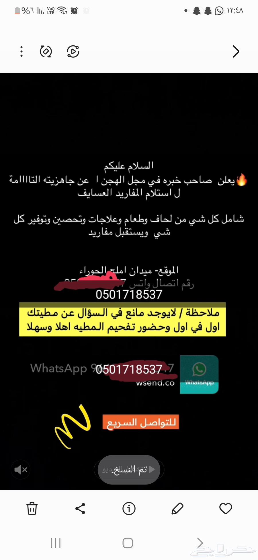 جهز استقبل الحشوان عسايف64241780885890110