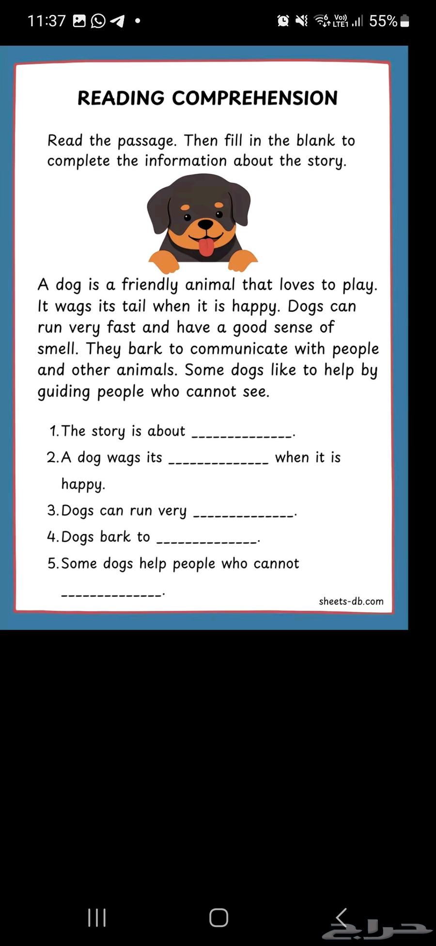 Foundation and Follow-up Teacher64232338966913111