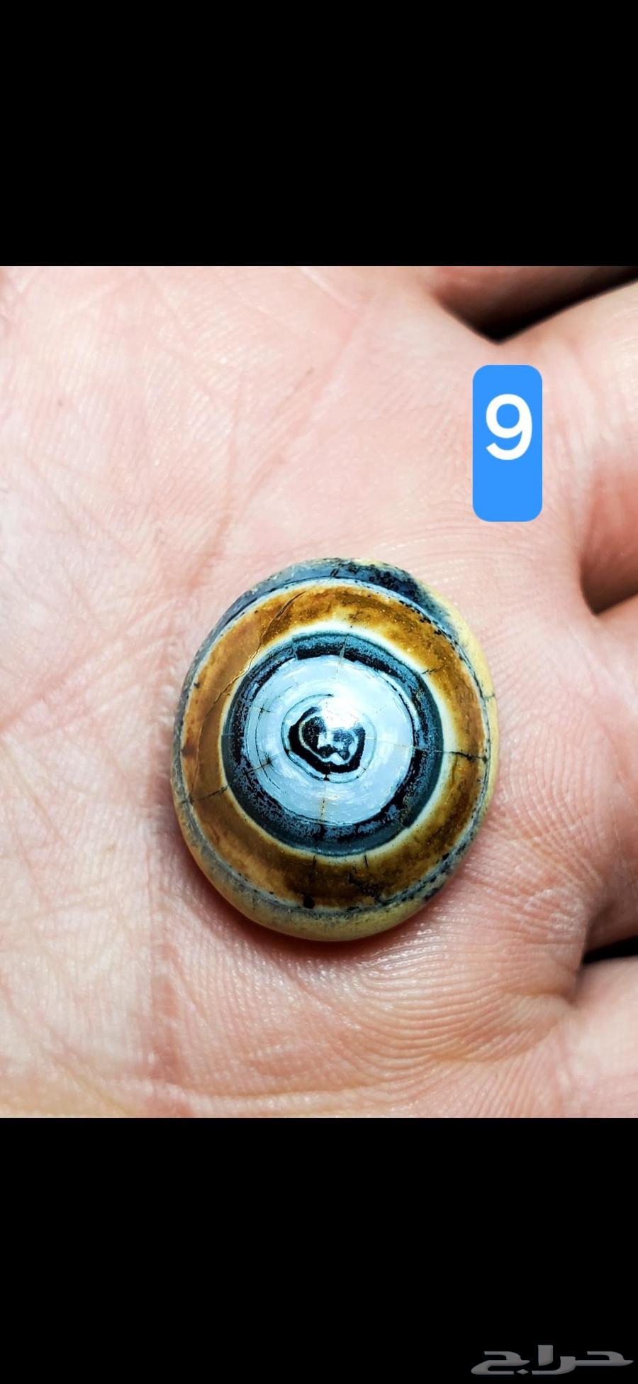 فص عقيق يماني داوودي نوادر64255252743170114