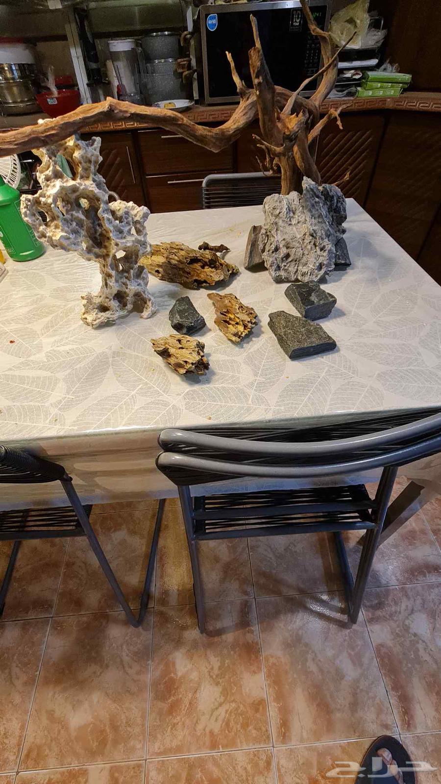 اغراض حوض سمك64244591475713110