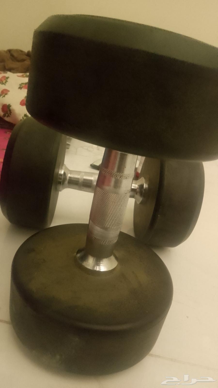 2 ثقل للتمارين 15 كيلو على السوم والصامل م اختلف معه64247713428994110