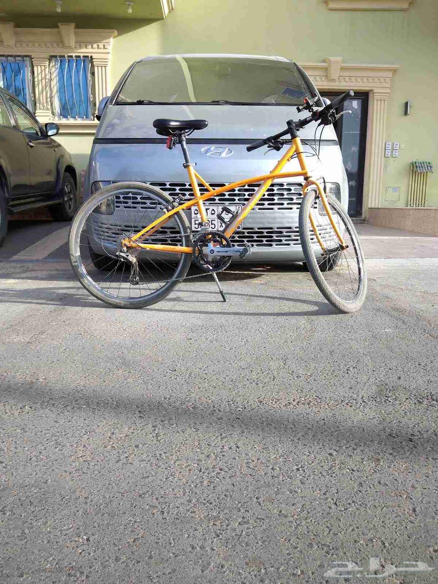 Sikl Performer64246299914113110