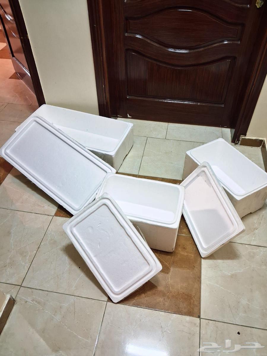 Styrofoam boxes for transporting ice cream64243895994627110