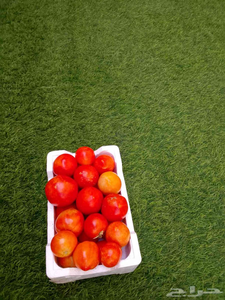 للبيع خضار و يوجد توصيل64236872296322113