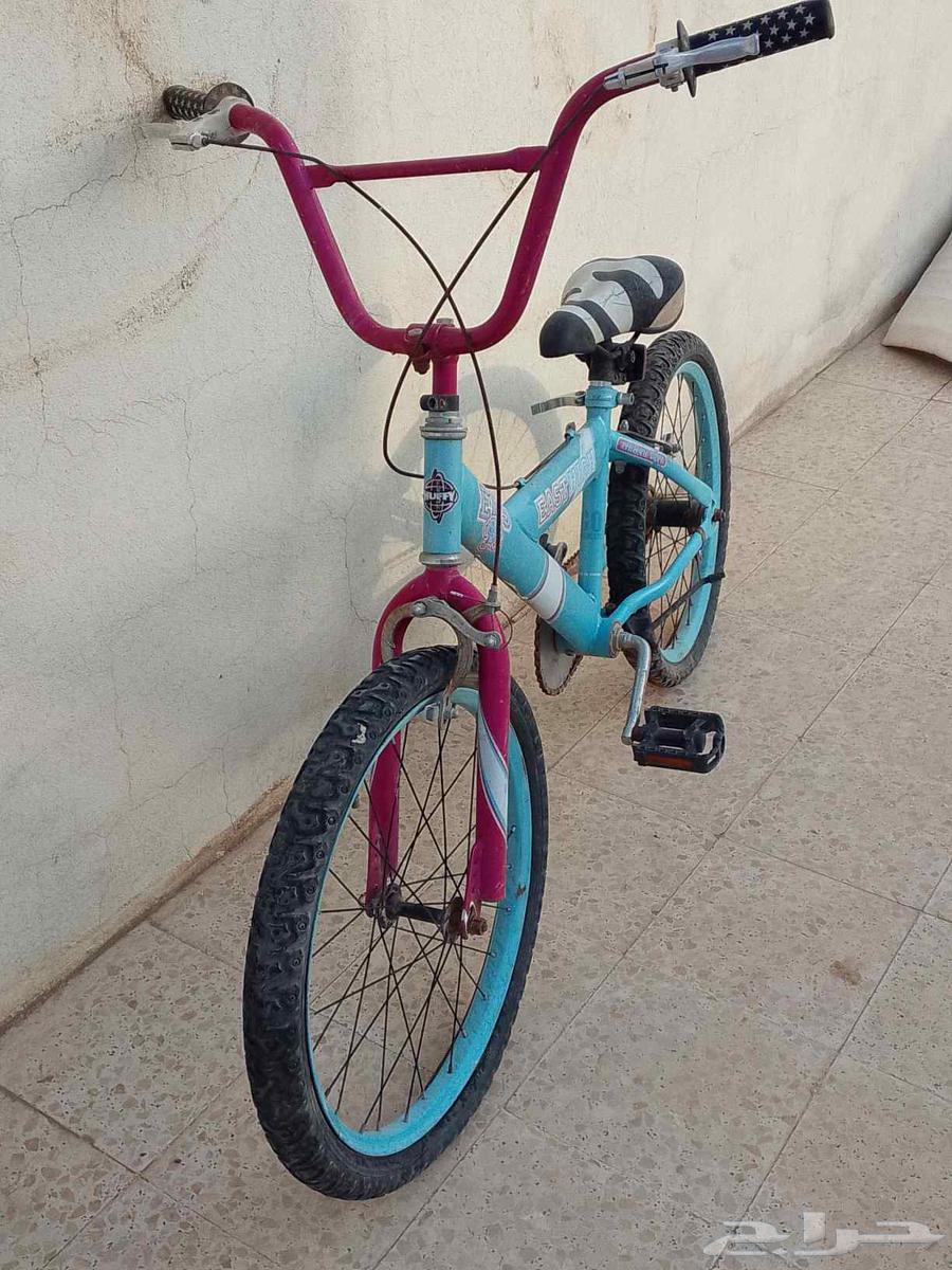 بيشه64248490190338112