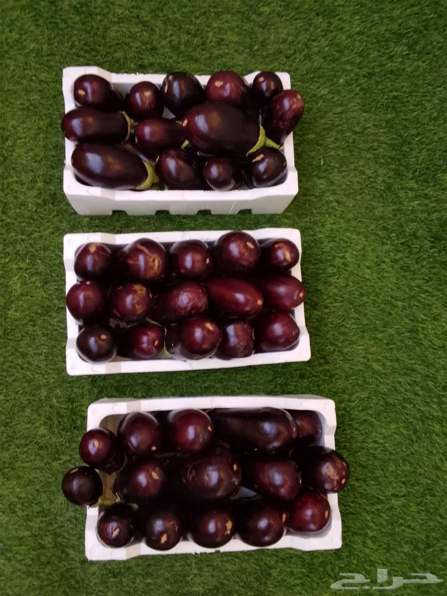 للبيع خضار و يوجد توصيل64236872296322110