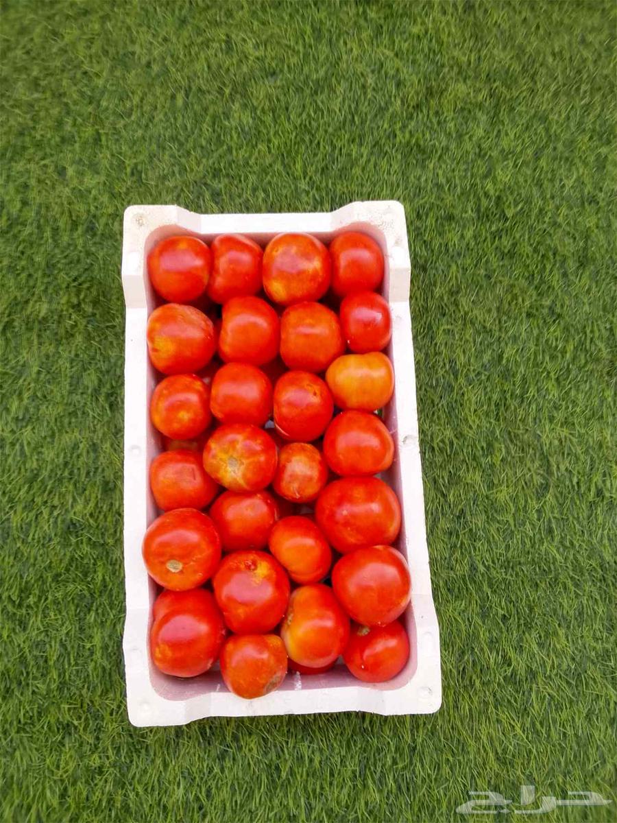 للبيع خضار و يوجد توصيل64236872296322112