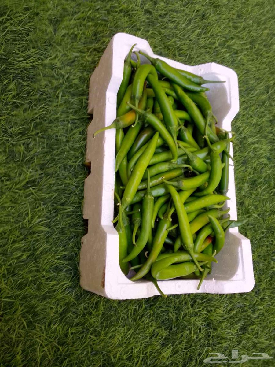 للبيع خضار و يوجد توصيل64236872296322114