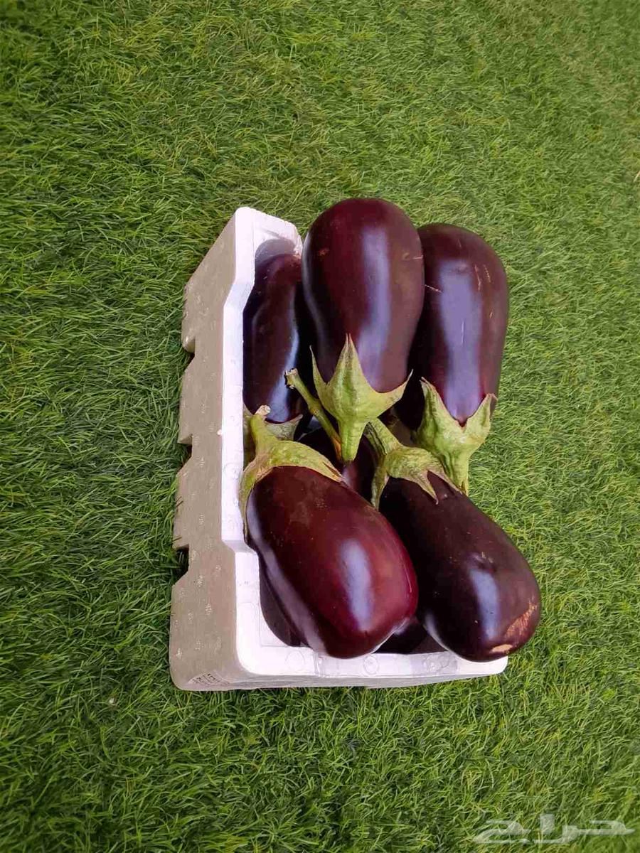 للبيع خضار و يوجد توصيل64236872296322111