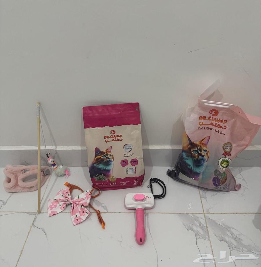 قطة للبيع64245640602498114