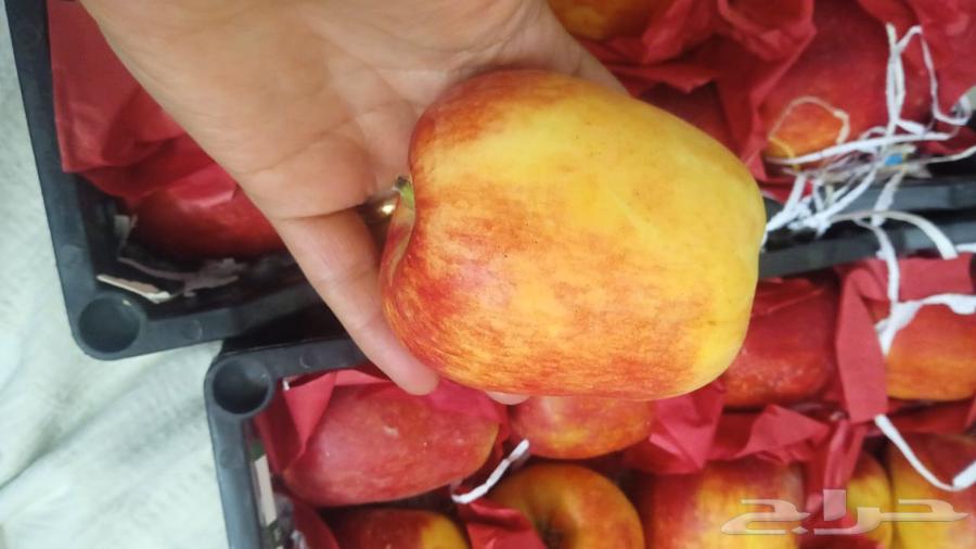 Available Egyptian apples, excellent quality, and mangoes named Ismaili Awais, excellent64234620302209111