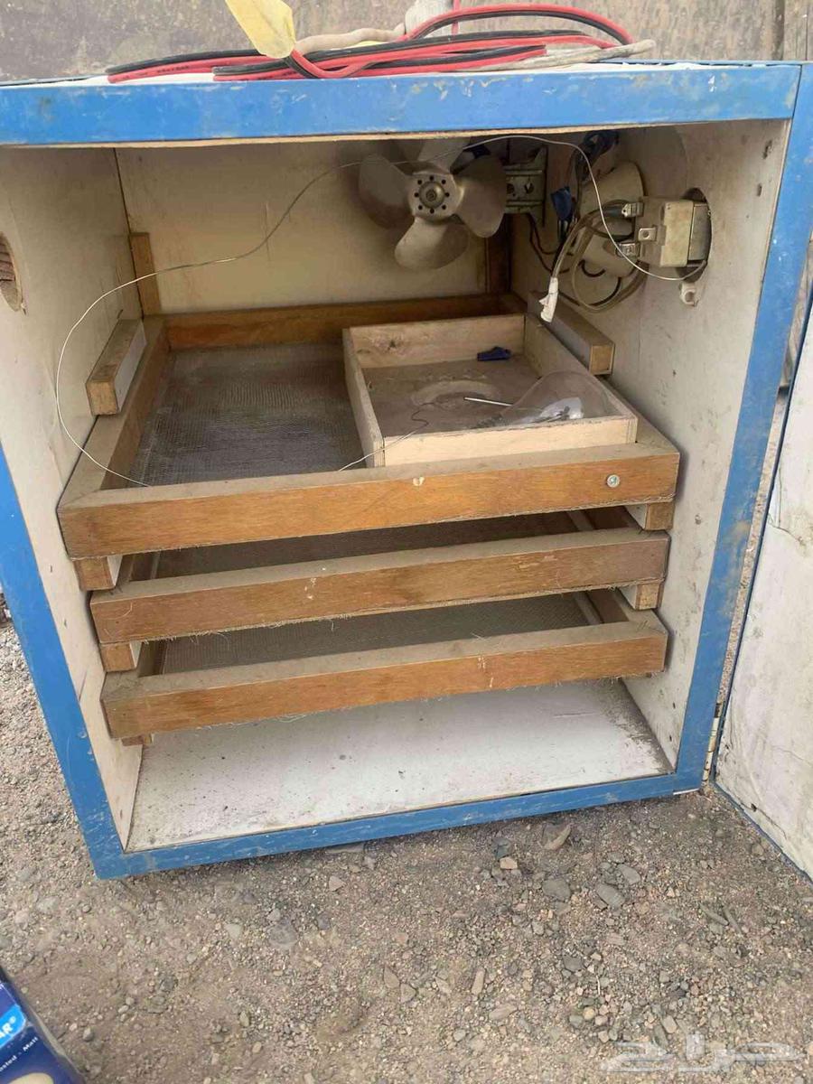 فقاصه للبيع64241410236930112