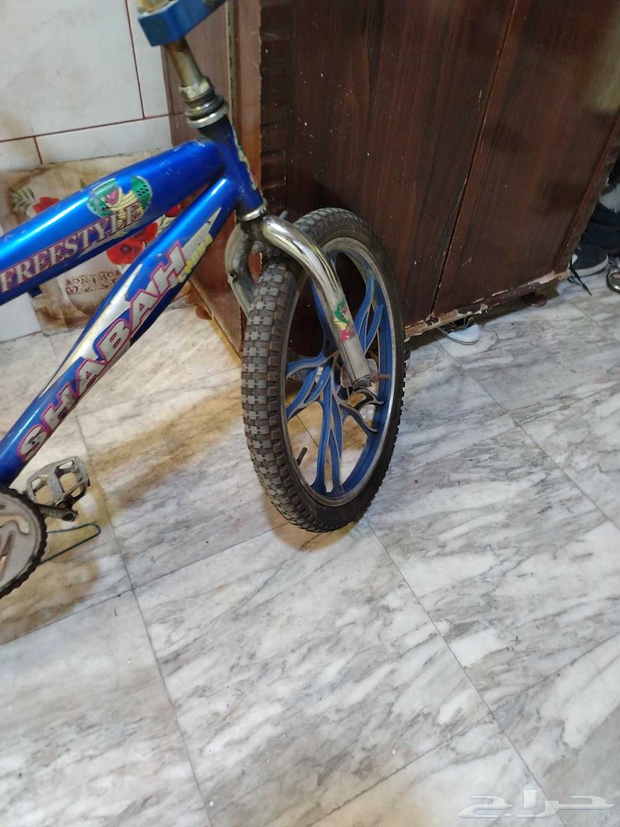 للبيع سيكل كوبرا اصلي (على السوم)64243518665091110