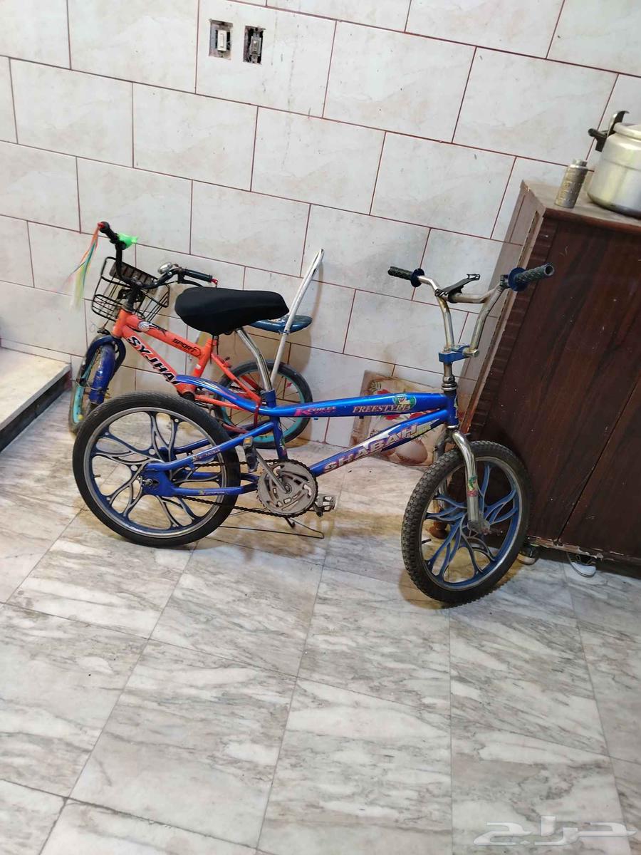 للبيع سيكل كوبرا اصلي (على السوم)64243518665091113