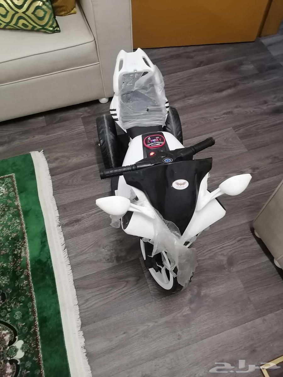 دباب للبيع مناسب للعمر ثلاث سنين وفوق64243011799553114