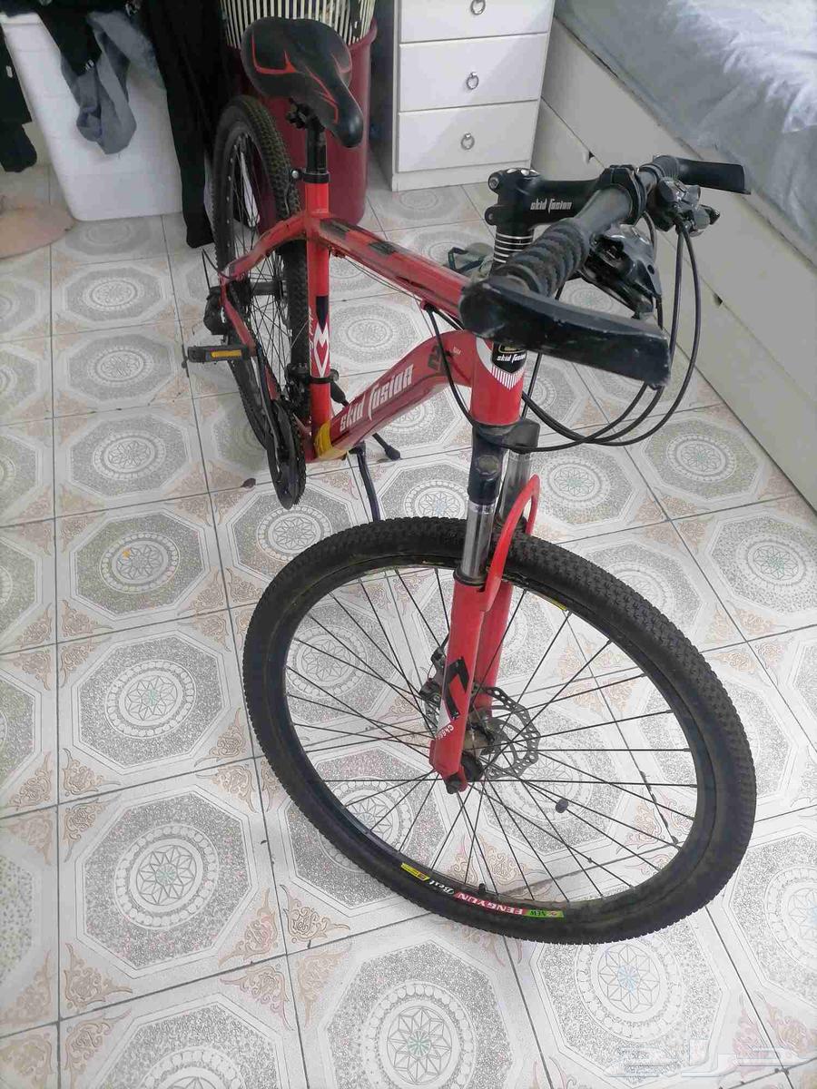 دورة تروس دمج الجلد 364249847608706113