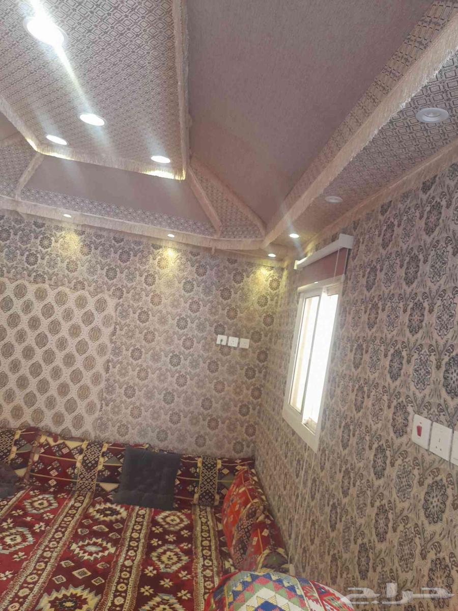 بيت شعر .للبيع مستعجل من دون المكيف والفرش64245481494018113