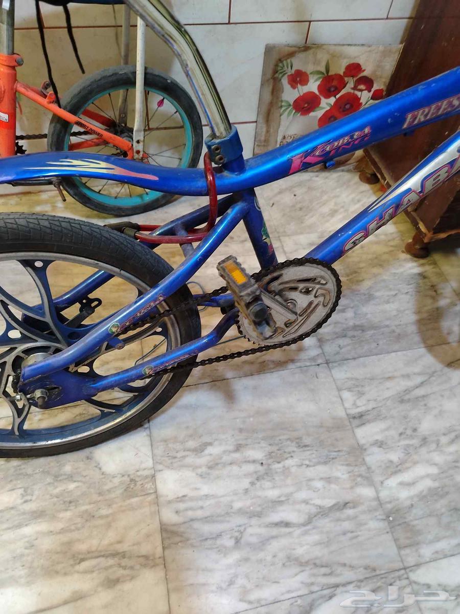 للبيع سيكل كوبرا اصلي (على السوم)64243518665091111