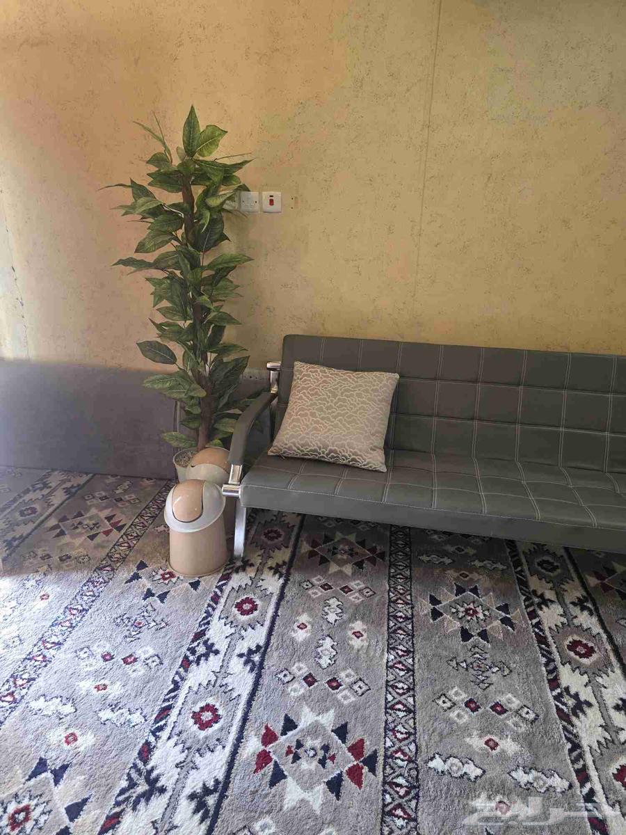 للبيع اثاث مكتب شبه جديد64242455981570113